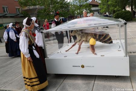 Čebela velikanka potuje po Kamniku (13)